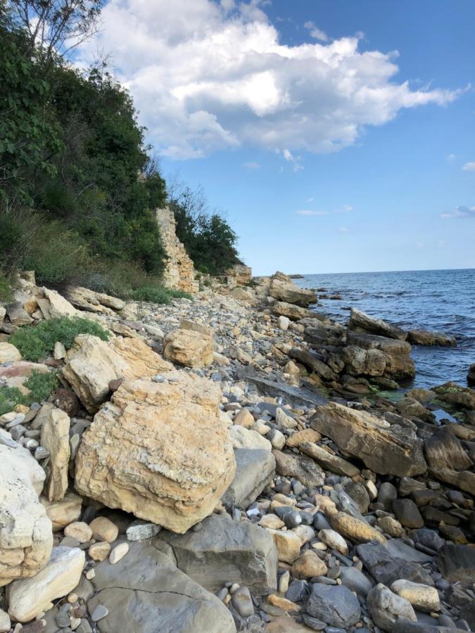 Coral Beach Корал Бийч Светий Влас Екстер'єр фото